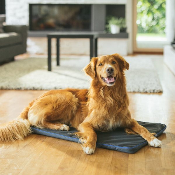 Omni Pets Pemf Pad - PEMF Therapy Mat for Pets