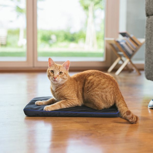 Omni Pets Pemf Pad - PEMF Therapy Mat for Pets