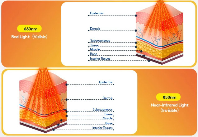 Red light and near-infrared wavelength penetration depths